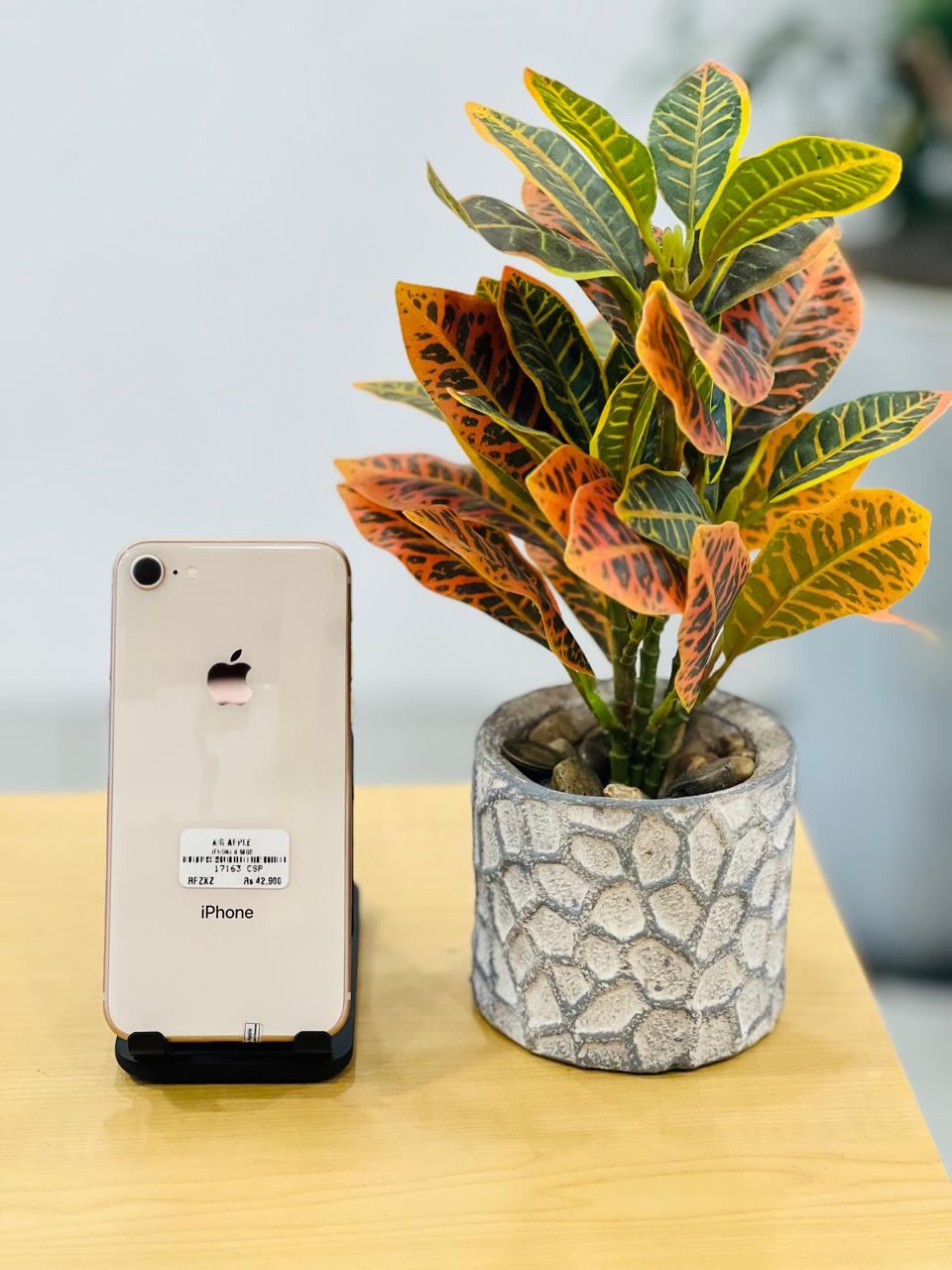 Pre-Owned iPhone 8 Gold - 64GB